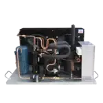 UNIDAD CONDENSADORA 2 HP (ALTA)